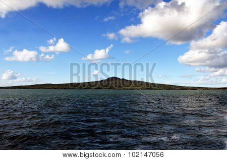New Zealand Rangitoto Island