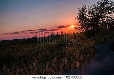 Bright beautiful sunset