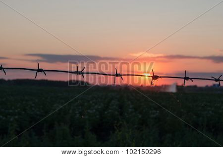 Barbed wire at sunset