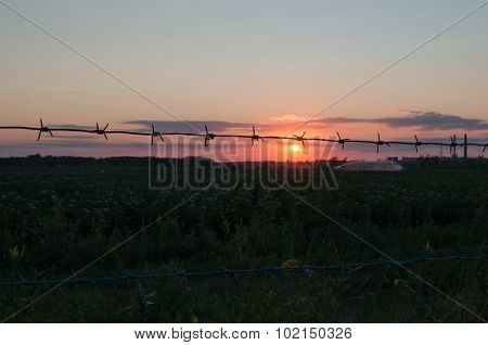 Barbed wire at sunset