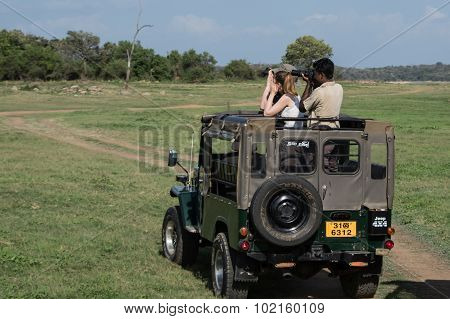 Elephant Safari In Sri Lanka