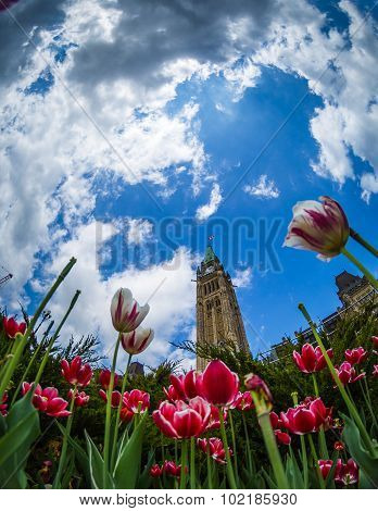 Parliament Building in Ottawa Canada