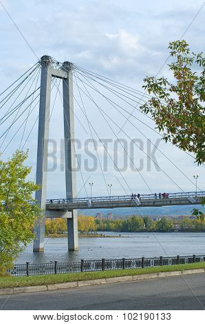 Cable-stayed Bridge Tower In The Autumn Surrounded