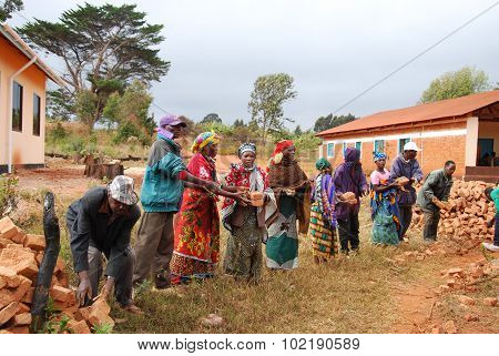 The Recovery Of The Bricks Still Good To A House Collapsed, Pomerini, Tanzania, Africa 259