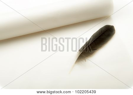 Still, Paper And Pen