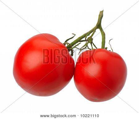 Červená Tomatto, izolované