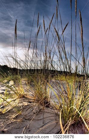 sunset and dunes