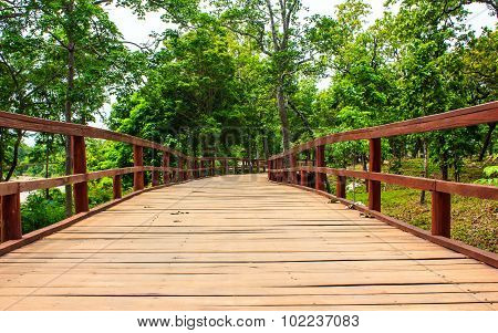Wood Bridge