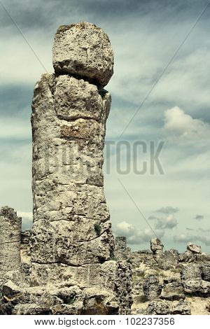 Stone Forest