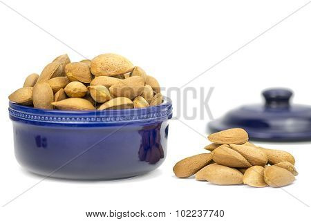 Shelled Almonds