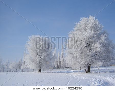 invierno