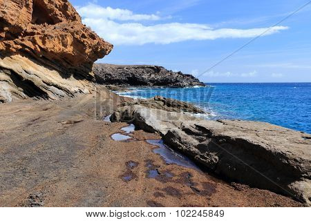 Tenerife Nature