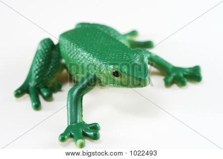 กบสีเขียว