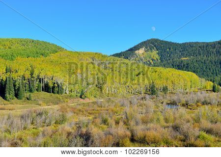 Alpine Scenery Of Yellow And Green Aspen And Mountains During Foliage Season