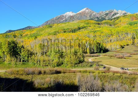 Alpine Scenery Of Yellow And Green Aspen And Snow Covered Mountains During Foliage Season