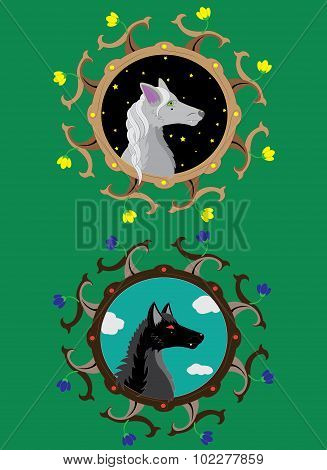 Gray she-wolf and Black wolf