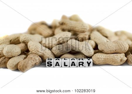 Salary Text With Letters