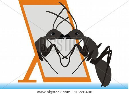 Ant a zrcadlo