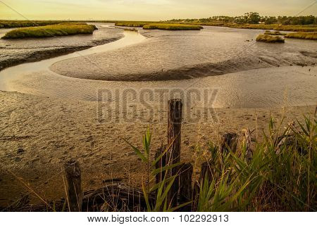 Landscape Near Comporta, Portugal