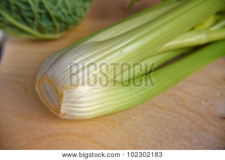 Green Fresh Stem Of Celery Closeup