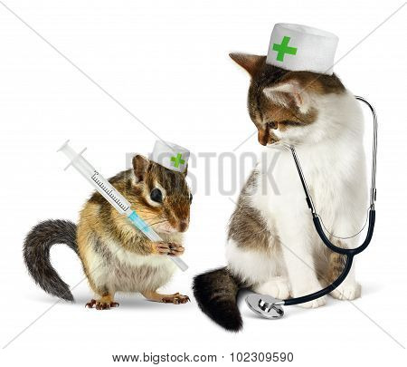 Veterinary Concept, Funny Chipmunk  And Cat With Phonendoscope And Syringe
