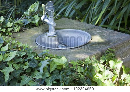 Drinking Fountain In Park