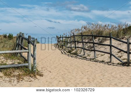 Sandbridge Beach Pathway