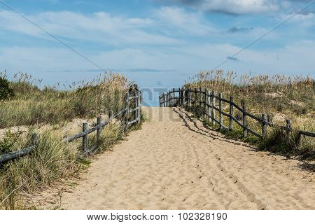 Sandbridge Empty Beach Pathway