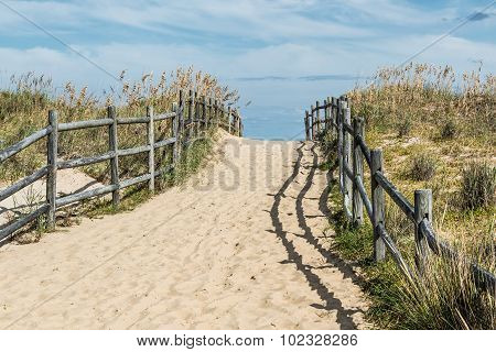 Uphill Pathway to Sandbridge Beach