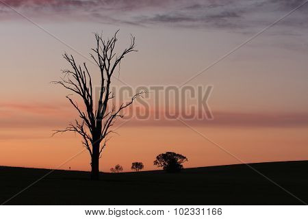 Dawn Rural Sillhouettes