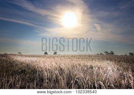 Frosty autumn morning