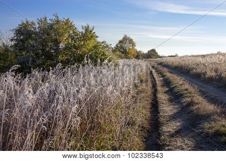 Frosty autumn morning