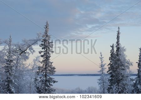 Winter landscape