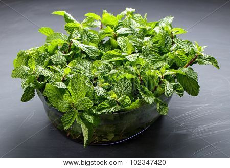 Fresh Mint Leaves On Black Board For Background