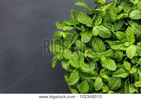Fresh Mint Leaves With Black Board For Background