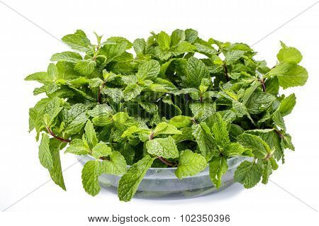 Fresh Mint Leaves On White Background
