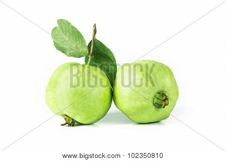 Fresh Green Guava Fruit  On White Background