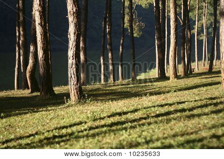 Pangung A nádrž v Mae Hong Son v Thajsku