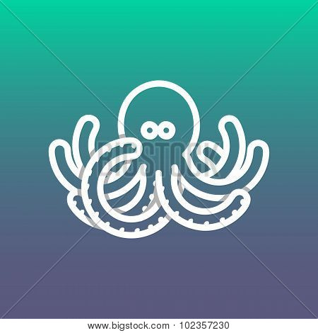 octopus