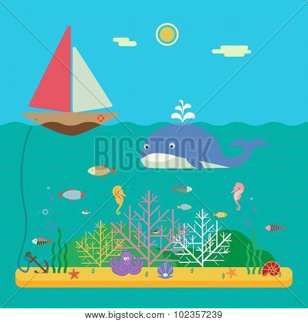 sea life