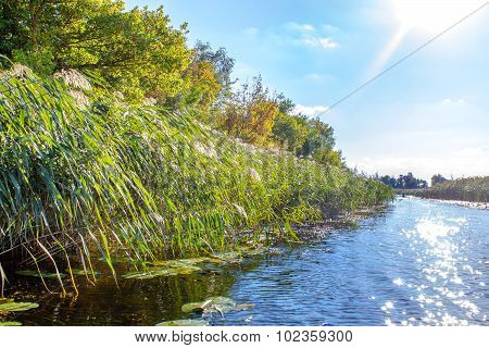 Landscape Image Of A Small River Reedy And Old Trees