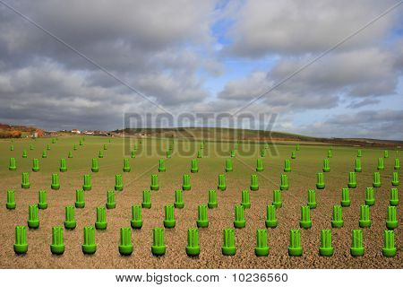 Поле зеленой энергии низкой мощности ламп