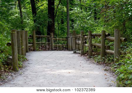 Path in the woods
