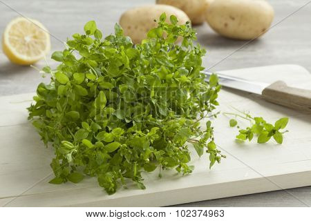Heap of fresh green chickweed on a cutting board