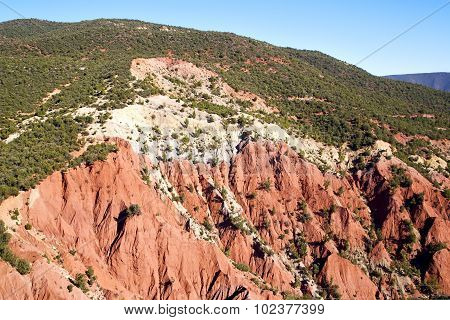 The    Dades Valley In Atlas Red  Tree  And Nobody