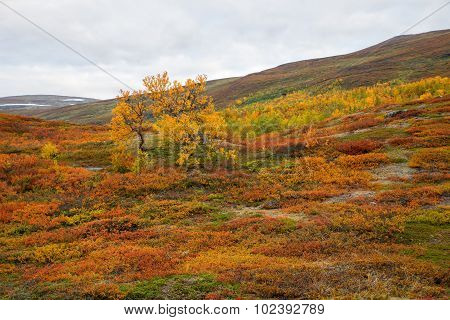 Mountain landscape
