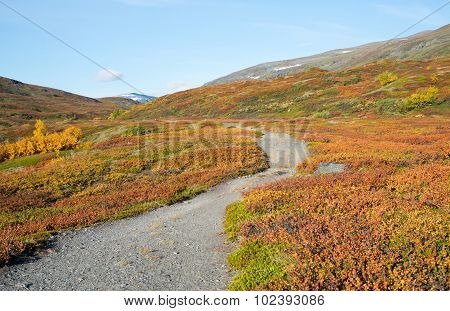 Mountain landscape