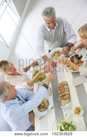 Goup of senior people having lunch together at home