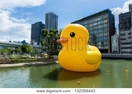 Japan Osaka - September 19 : Giant Rubber Duck floating outside Nakanoshima park on September 19 2015 in Japan Osaka. Created by Florentijn Hofman.