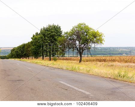 Old Damaged Asphalt Road In Rural Ukraine. Rural Landscape.